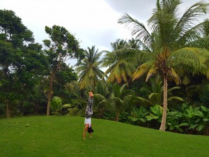 Adho Mukha Vrkasana - Downward Facing Tree posture / handstand