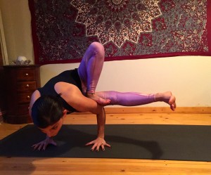 Parsva Bhuja Dandasana - Side Arm Staff Posture / Dragonfly Posture /	Grasshopper Posture